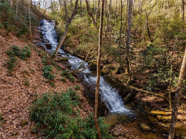 view of nature featuring a view of trees