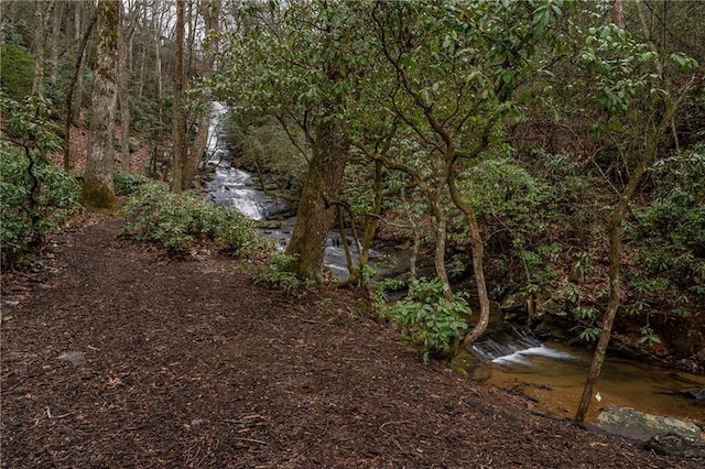 view of nature with a forest view