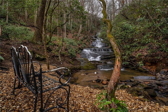 property view of water with a wooded view