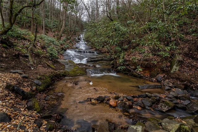 property view of water with a forest view