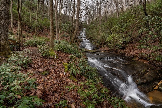 property view of water with a forest view