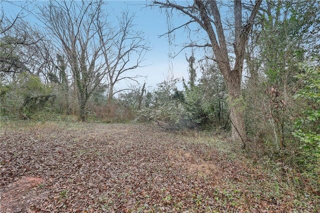 view of local wilderness