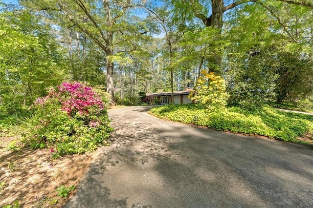 view of community with driveway