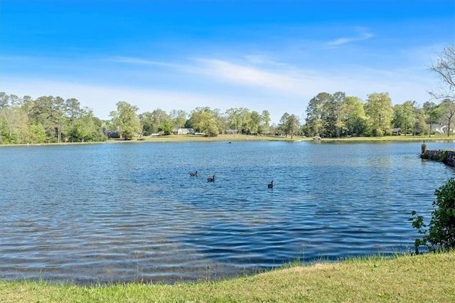 water view