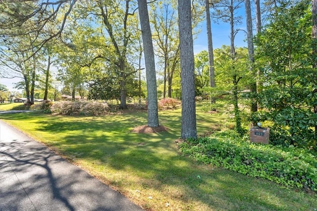 view of grassy yard