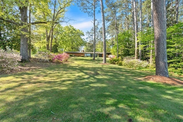 view of grassy yard