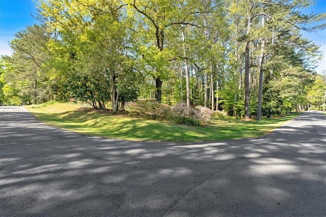 view of asphalt street