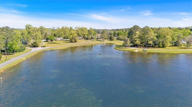 water view featuring a tree filled landscape