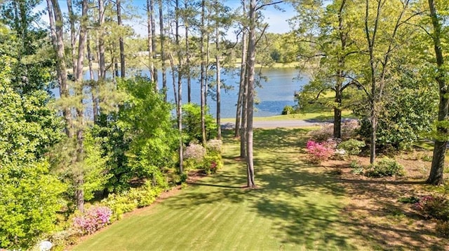 surrounding community featuring a water view