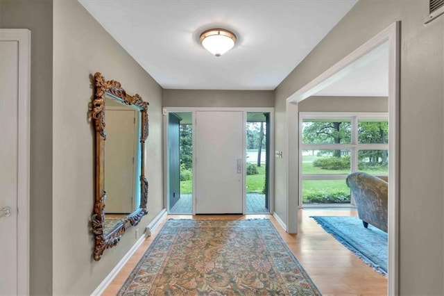 entryway featuring healthy amount of natural light, baseboards, and wood finished floors