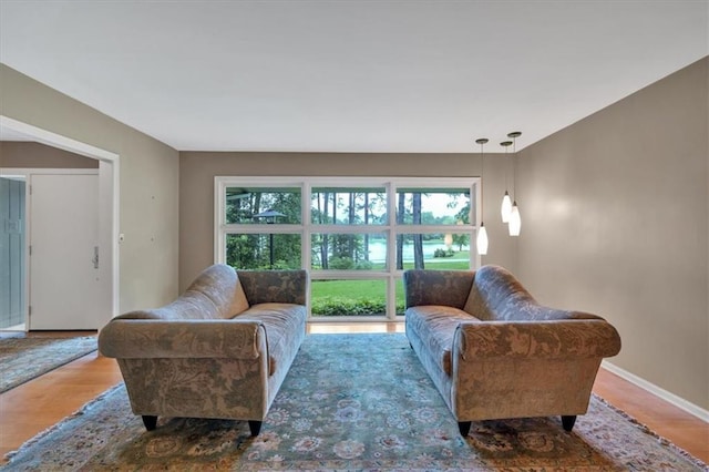 living area featuring wood finished floors