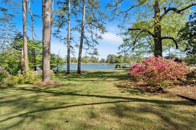 view of home's community featuring a water view and a lawn