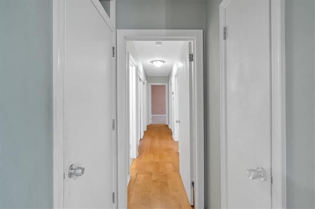 hallway with light wood finished floors