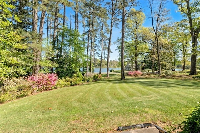 view of community featuring a yard, a water view, and view of scattered trees