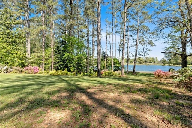 view of green lawn featuring a water view