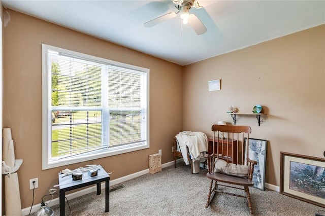 80 Jacob Trl, Rockmart, GA 30153 - living area with ceiling fan and carpet floors
