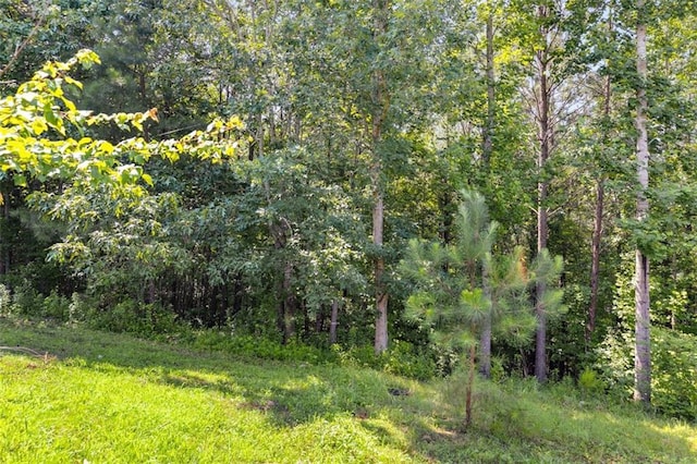 80 Jacob Trl, Rockmart, GA 30153 - view of wooded area