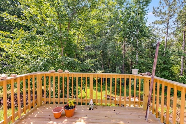 80 Jacob Trl, Rockmart, GA 30153 - view of wooden deck