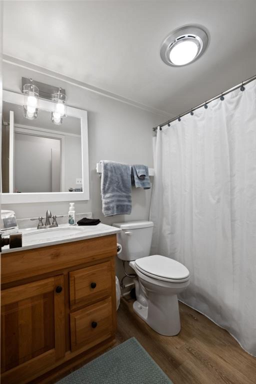 full bathroom with vanity, wood finished floors, toilet, and a shower with curtain