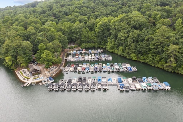 aerial view with a water view and a wooded view