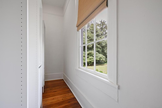 walk in closet with dark wood-type flooring