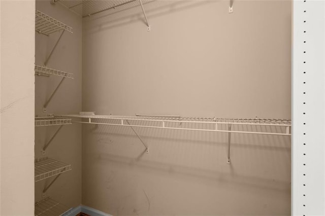 view of walk in closet