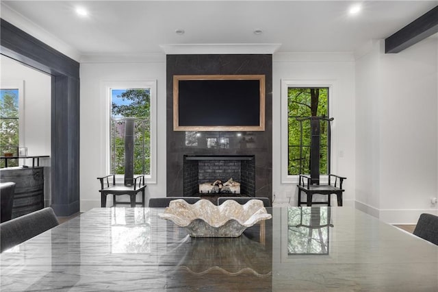 306 Pinecrest Rd NE, Atlanta, GA 30342 - living room with a large fireplace, crown molding, and recessed lighting