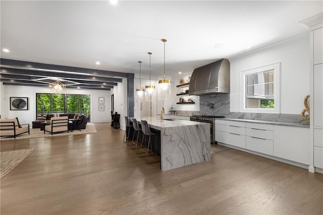 306 Pinecrest Rd NE, Atlanta, GA 30342 - kitchen featuring ventilation hood, high end stainless steel range, light wood-style floors, modern cabinets, and a sink