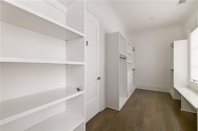 306 Pinecrest Rd NE, Atlanta, GA 30342 - walk in closet with dark wood-style floors
