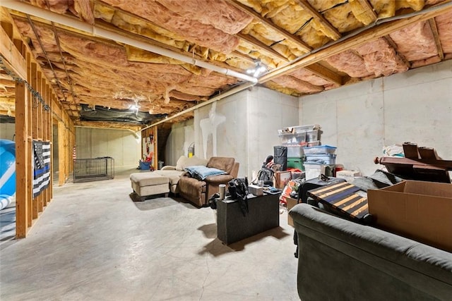 3625 Wapakonata Trl, Bethlehem, GA 30620 - view of unfinished below grade area