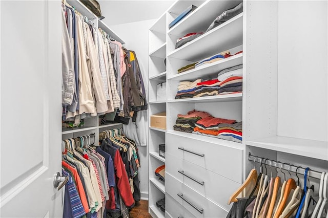 view of walk in closet