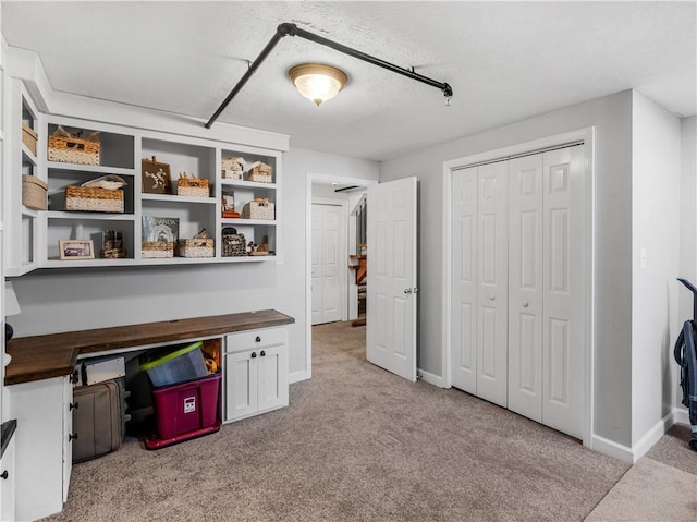 interior space with light carpet and baseboards