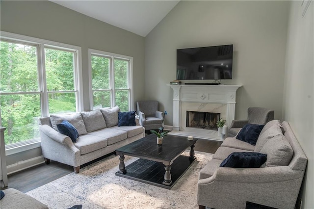 4569 Campenille Trce, Suwanee, GA 30024 - living room featuring wood finished floors, vaulted ceiling, and a high end fireplace