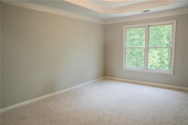 4569 Campenille Trce, Suwanee, GA 30024 - unfurnished room with crown molding, light carpet, and a tray ceiling