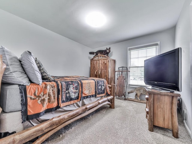 464 Mason Dr, Canton, GA 30115 - bedroom with carpet floors