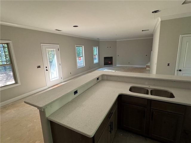 kitchen with kitchen peninsula, crown molding, and a wealth of natural light