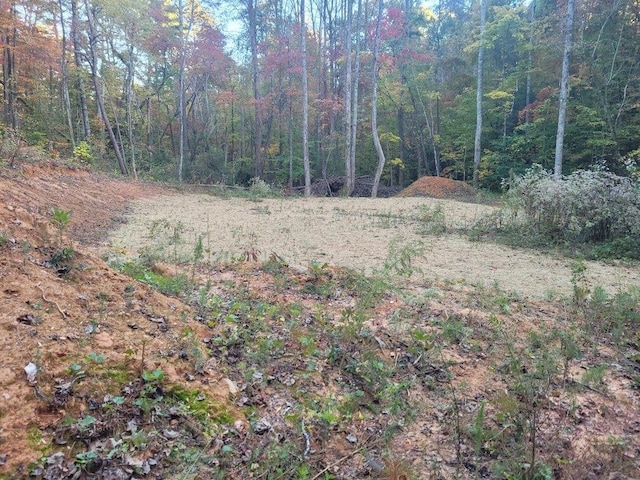 LOT11 Oscar Ct, Ellijay GA, 30540 land for sale