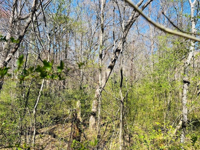 0 Crescent Dr, Newnan, GA 30265