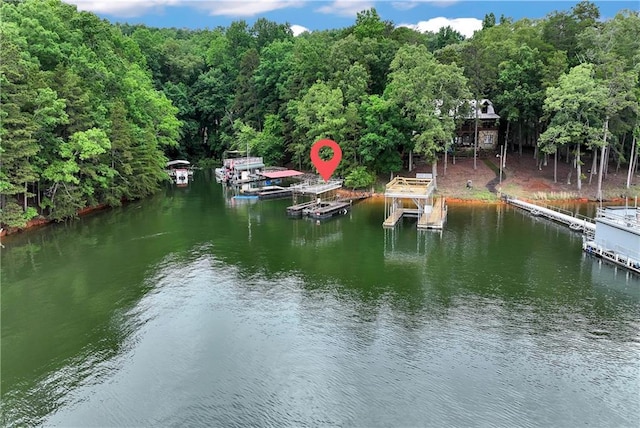455 Sams Rd, Dawsonville, GA 30534 - dock area with a water view and a wooded view