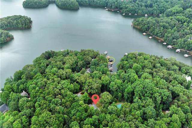 455 Sams Rd, Dawsonville, GA 30534 - bird's eye view of a nearby body of water