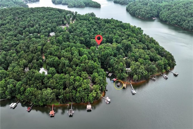 455 Sams Rd, Dawsonville, GA 30534 - aerial view of a large body of water