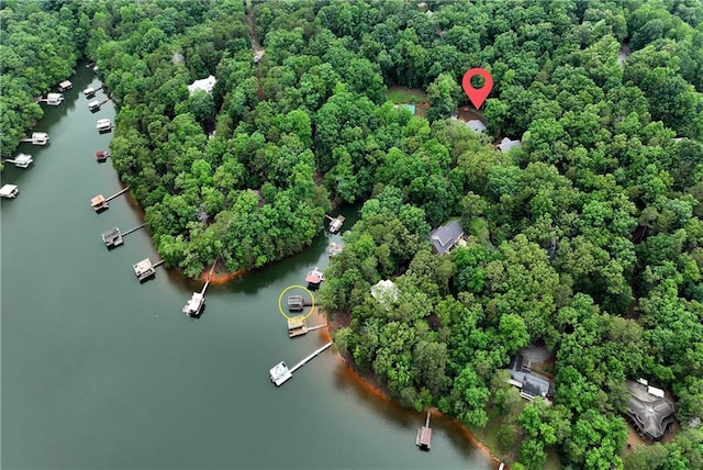 455 Sams Rd, Dawsonville, GA 30534 - drone / aerial view of a large body of water