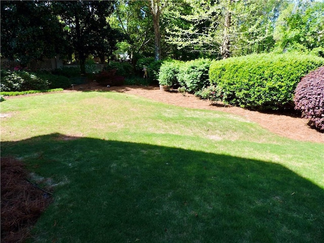 view of yard