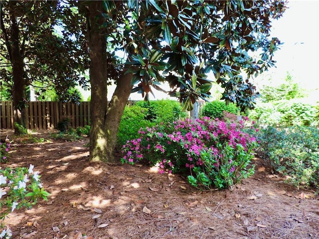 view of yard with fence