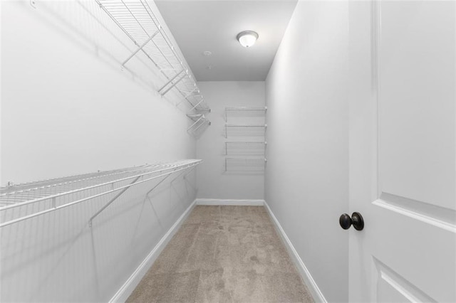 walk in closet with light colored carpet