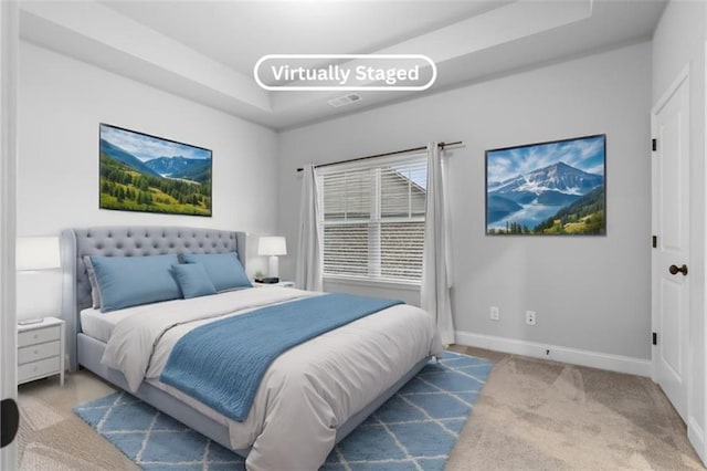 carpeted bedroom featuring a raised ceiling