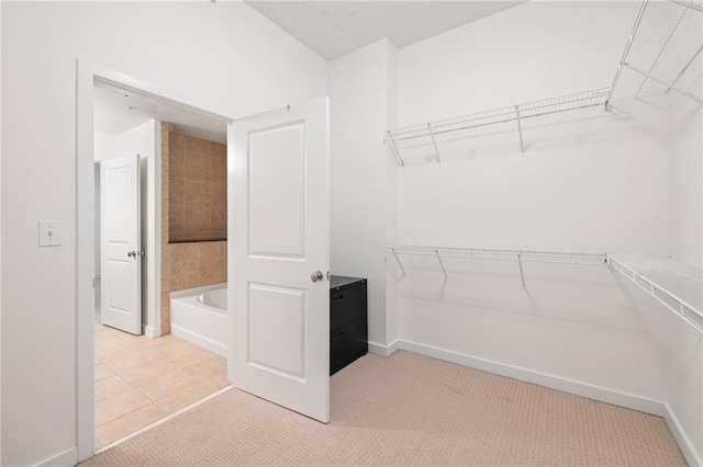 spacious closet featuring light colored carpet