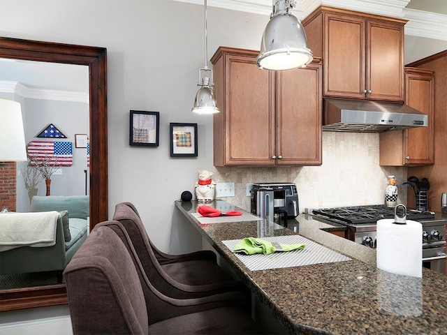 kitchen featuring under cabinet range hood, tasteful backsplash, and ornamental molding