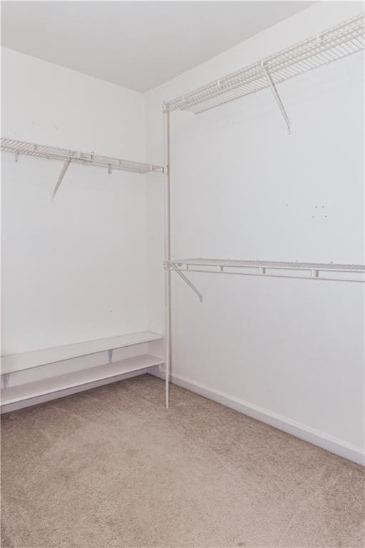 walk in closet featuring carpet flooring