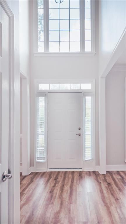 entryway featuring wood finished floors, healthy amount of natural light, a towering ceiling, and a chandelier